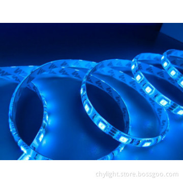 12v LED Strip Brightness Waterproof  Flexible SMD5050